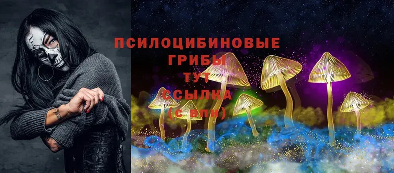 Галлюциногенные грибы Cubensis  Кущёвская 